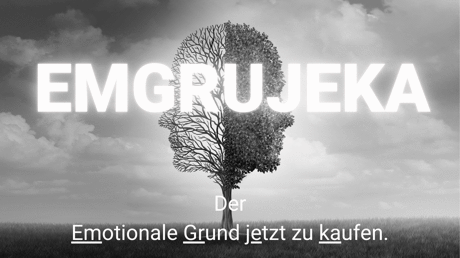 EMGRUJEKA-Nudge-Header-1600x900