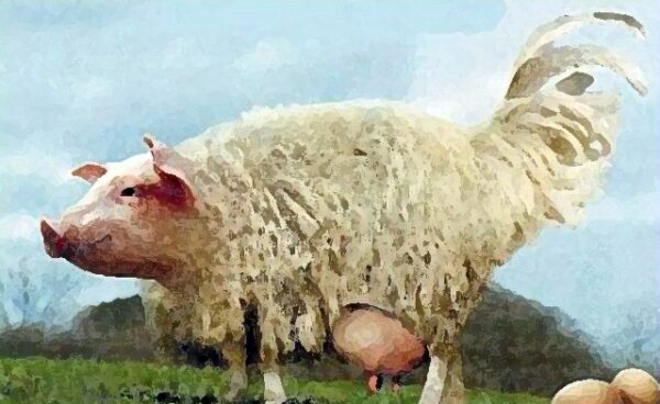Führungskraft-möbelhandel-eierlegende-wollmilchsau-thomas-witt